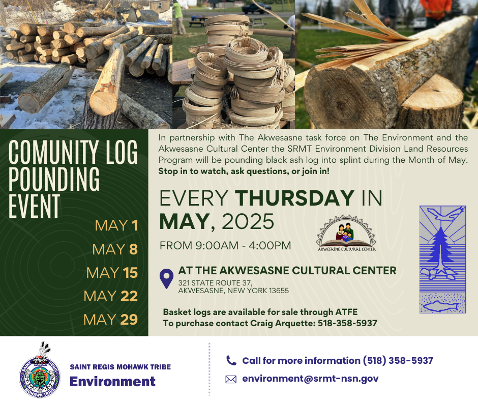 Log Pounding Demonstration